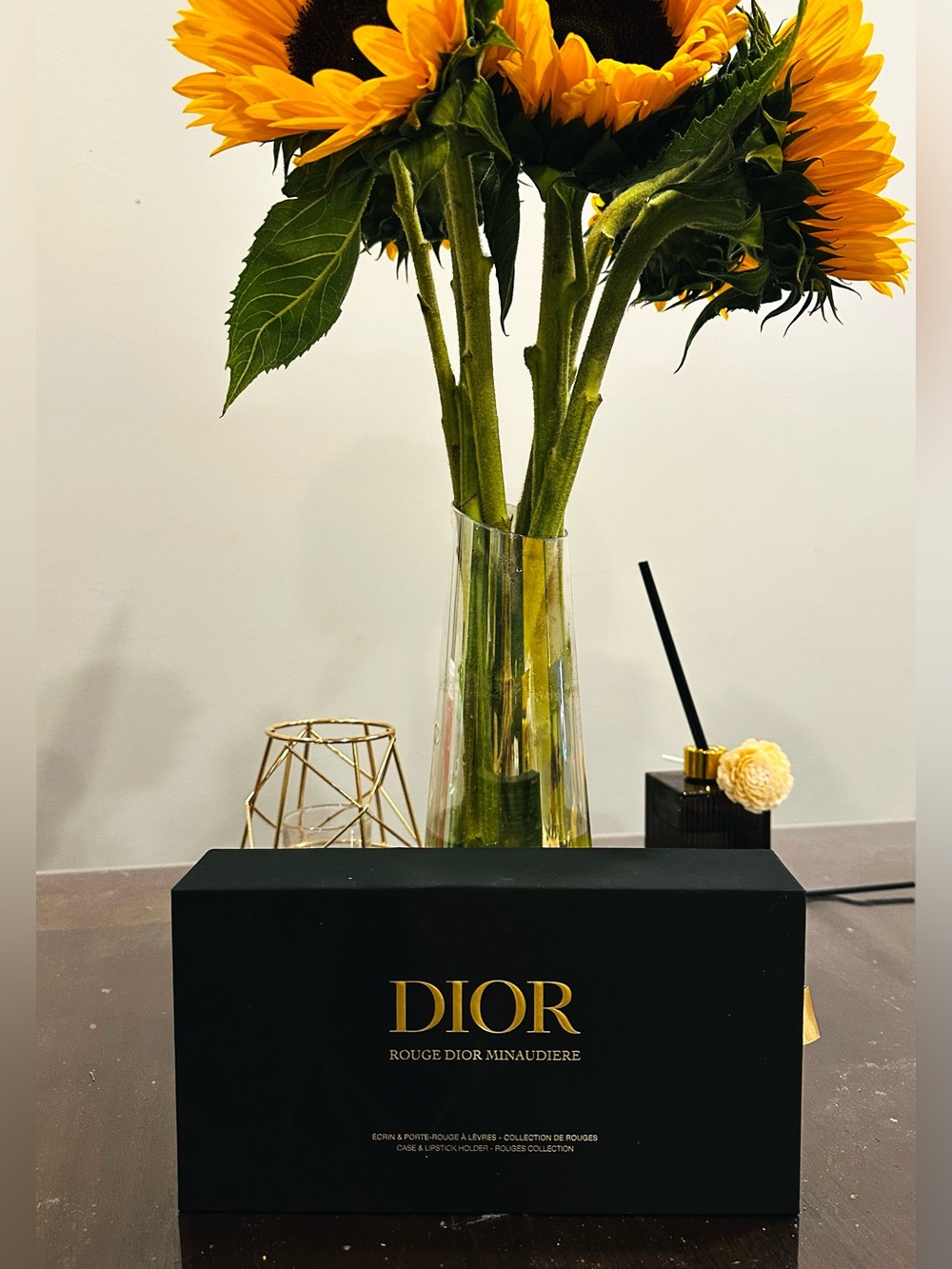 Dior Rouge Minaudiere Case & Lipstick Holder Limited Edition Boxed Set Clutch